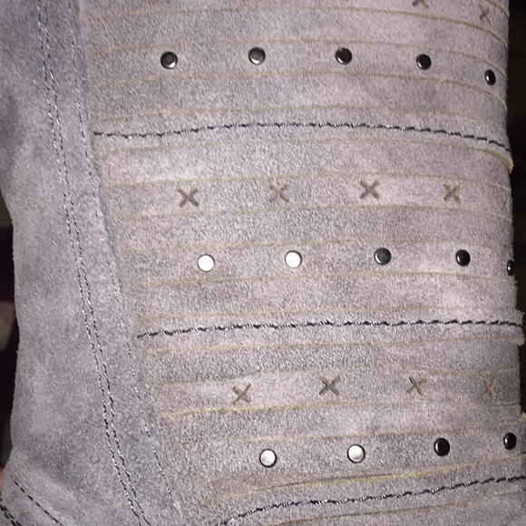 Beautiful grey Bearpaws - Picture 7 of 8